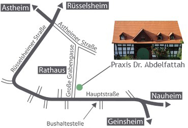 Lageplan Praxis Dr Abdelfattah in Trebur
